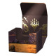 Sidewinder 100+ Xenoskin Magic: The Gathering "Tarkir: Dragonstorm" Ghostfire - Neriv, Heart of the Storm