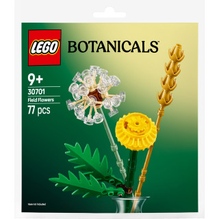 30701 Field Flowers